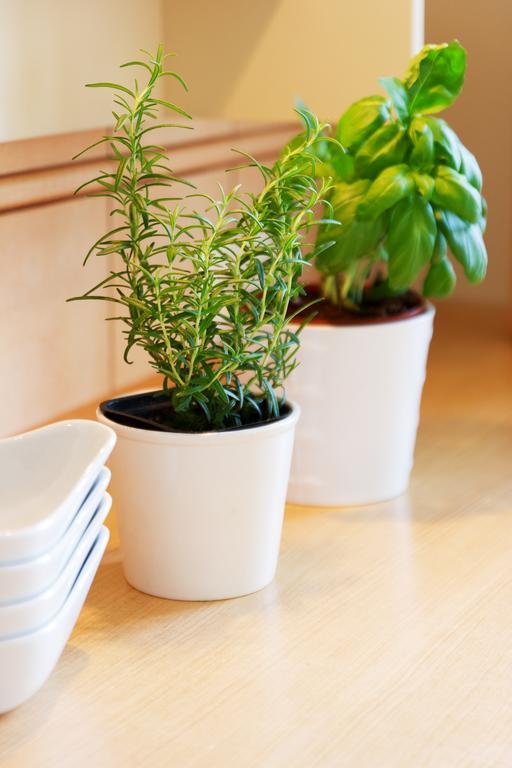 Apartament Sophie 索波特 外观 照片