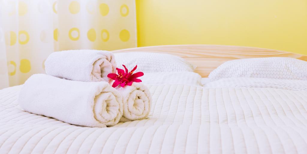 Apartament Sophie 索波特 外观 照片